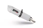 Bmw F900GS Adventure 2024-2025 Exhaust GPR Slip-on Albus Evo4