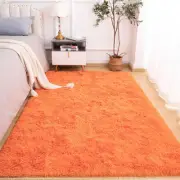 Area Rug for Bedroom, 4x6 Feet Plush Fluffy Rug for Living Room, Orange Shag ...