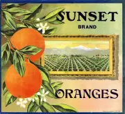 wall prints Sunset Brand Oranges fruit crate label poster