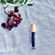 Essential Oil Gemstone Roller Bottle for Aromatherapy Natural Crystals 10ml