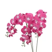 3Pcs 41" 9 Heads Artificial Orchid Stems Faux Phalaenopsis, White Fuchsia