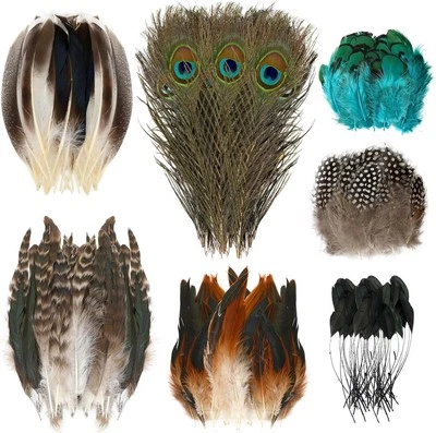 100 Pcs Natural Pheasant Feathers, 7 Styles Bulk Feathers Peacock Feathers