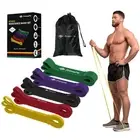 Resistance Bands for Working Out, Exercise Bands Resistance, Pull Up Assistan...