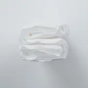 DISPOSABLE PET DRYING TOWELS