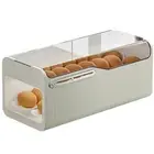 Large Capacity Egg Holder for Fridge, Spring Automatic Rolling Egg Container ...