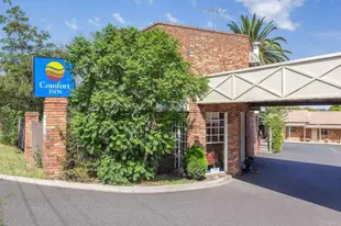 格林斯博羅凱富飯店Comfort Inn Greensborough