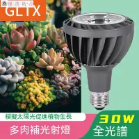 在飛比找蝦皮購物優惠-30W植物燈 LED植物燈 生長燈 多肉生長燈 全光譜多肉植