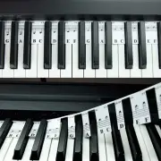 88 Key Full Size Piano Rake Key, Piano Keyboard Notes for Beginner