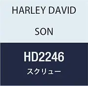Harley Davidson HD2246 SCREW, BTN, HEX SCKT, STAINLESS