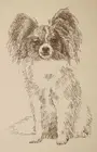 Papillon Dog Breed Art Portrait Print #34 Kline draws your dogs name free. GIFT