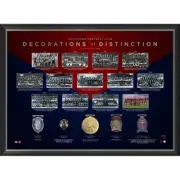 MELBOURNE DEMONS DECORATION OF DISTINCTION FRAMED PRINT GAWN AFL MEMORABILIA