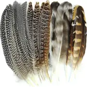 ✨ 24Pcs Natural Pheasant Feathers 4 Style 6-8Inch 15-20Cm 0 Cruelty