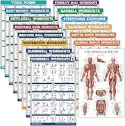 15 Pack - Exercise Poster Set: Dumbbell, Suspension, Kettlebell, Resistance Bands, Stretching, Bodyweight, Barbell, Yoga, Battle Rope, Exercise Ball, Muscular, Medicine Ball (LAMINATED, 18" x 24")