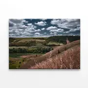 Cloudy Sky and Forest Scenery Print 100% Australian Made 75 x 50cm (Stretched)