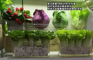 Lmdec高仿真蔬菜模型 假萵筍白菜娃娃菜手感裝飾蔬果擺放水果