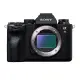 SONY A9M2 單眼相機 單機身 公司貨 ILCE-9M2 A92