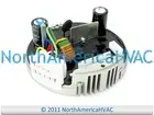OEM Heil Carrier Bryant 1/2 HP X13 BLOWER MOTOR MODULE Replaces Genteq HK44ER221