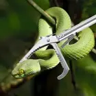 1.2m Stainless Steel Foldable Snake Tongs Grabber Catcher Wide Jaw Handel Tool