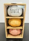 RAE DUNN 3pc PUMPKIN RAMEKIN SET FALL
