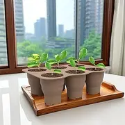 YUANXINGLU (3Pcs) Silicone Nursery Pots, 6 Grids Folding Seedling Starter Trays with Drainage Holes, Collapsible Durable Seedling Pots, Pots Reusable Nursery Pots for Flower Succulent Plants Seedli