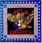[Hying] Patriotic Bandanas for Men, Labor Day American Flag Bandanas Headbands for 4th of July Independence Day Handkerchief