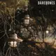 【三入一組】Barebones 串連垂吊營燈Edison String Lights LIV-269 / 古銅色