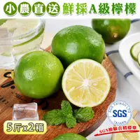 在飛比找鮮拾優惠-【禾鴻】SGS檢驗屏東小農鮮採綠皮檸檬5斤x2箱_(預購)下