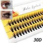 60 Bundles Natural Mink Eyelashes Cluster Lashes Eyelash Extensions