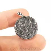8.28g METEORITE MUONIONALUSTA "seed of life" genuine pendant .925 rhodium#MET109