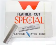 FEATHER CUT STAINLESS X 100PCS BLADE HAIR STYLING RAZOR THINNING EYEBROW (JAPAN)