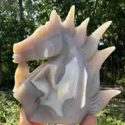 375g natural agate hand carved unicorn skull quartz crystal healing