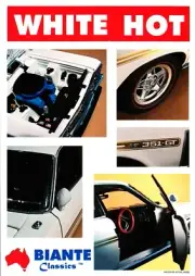BIANTE BROCHURE - FORD XY 351 GTHO ULTRA WHITE NEW Suit 1:18 RARE TWIN MIRROR