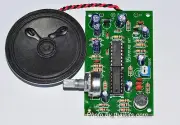 Human to Robot voice converter / Changer for Student [ Unassembled kit ]