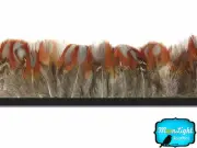 1 Yard - Natural Temminck Tragopan Breast Plumage Feather Trim Rare Craft Supply