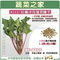 在飛比找樂天市場購物網優惠-【蔬菜之家】A111.紅脈沙拉菠菜種子(共2種規格可選) 紫