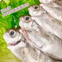 在飛比找蝦皮商城優惠-【老張鮮物】澎湖野生肉魚 肉鯽仔 魚 澎湖海鮮 野生捕獲 急