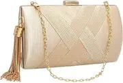 [YeeHeen] Women's Evening Clutch Bag Elegant Tassel Purse for Bride Wedding Prom Night out Party Handbag