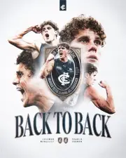 Carlton blues team player photo ,CHEAPEST,,afl football 1