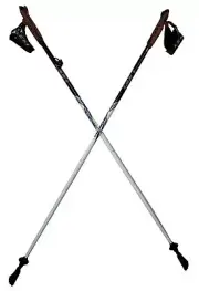 LEKI Nordic Walking Amero Carbon Series Walking Poles White/Black 115cm