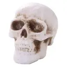 Refractory Fire Pit Skull Pottery Halloween Skull Props Barbecue