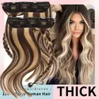 Clip in 100% Remy Human Hair Extensions Remi Full Head One Piece Weft Straight