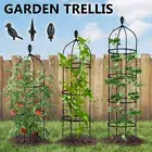 Garden Plants Support Metal Obelisk Trellis Climbing Frame Rose Vine Stand
