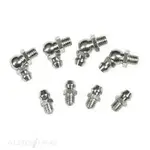 Toledo Grease Nipple Assortment - 305213