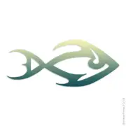 Fish Art Tribal, Vinyl Decal Sticker, 40 Patterns & 3 Sizes, #296