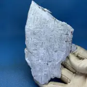 216g Aletai iron meteorite slab size：137*84*4mm MC099