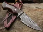 Custom Made Damascus Steel Skinner Knife With Stag Handle Exellent Birthday Gift