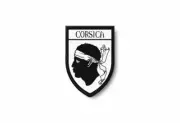 PATCH PATCHES EMBLEM IRON ON GLUE PRINT FLAG world crest corse corsica