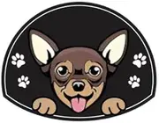 Personalized Stainless Steel Dog ID Tag Name Plate Anti-Lost Pet Name Tag Pendant Custom Engraved Cat and Dog Nameplate Label Pet Collar Supplies Accessories,Chihuahua,Rose Gold