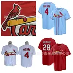 現貨速發！！聖路易斯紅雀隊 CARDINALS小外套刺繡MLB棒球訓練服 批發 RTSV