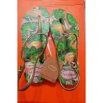 全新官方正品-哈瓦仕 HAVAIANAS 夾腳涼鞋(尺寸35-36)